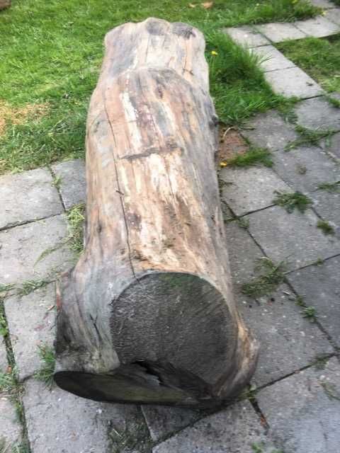 sprzedam duży pniak-nowa cena!