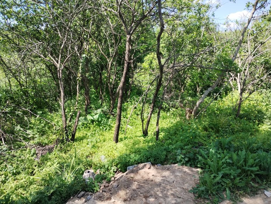 Замельна ділянка під забудову