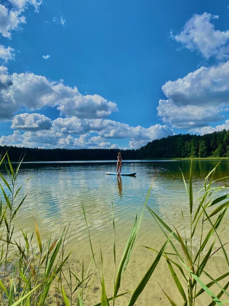 Domek Bory Tucholskie nad jeziorem, w lesie, dom