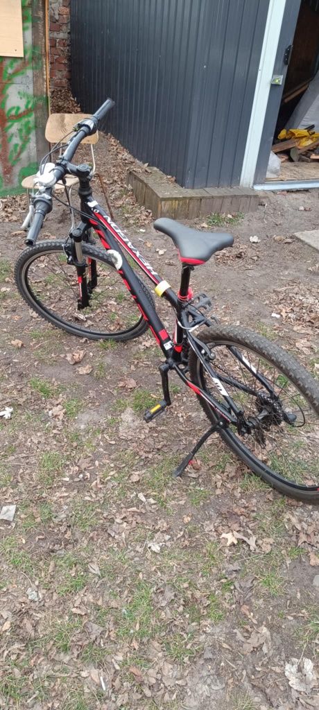 Rower Kross Hexagon 1.0