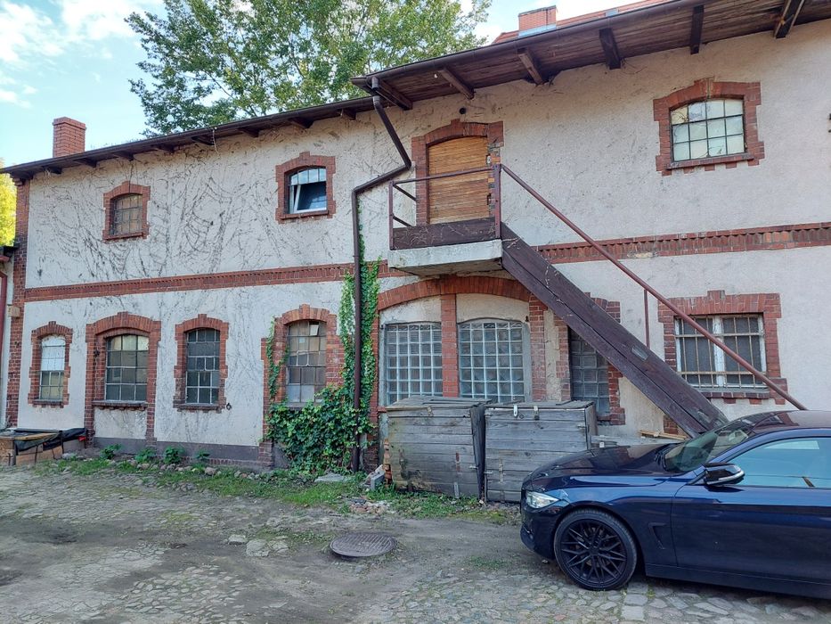 Poznań lokal do wynajęcia