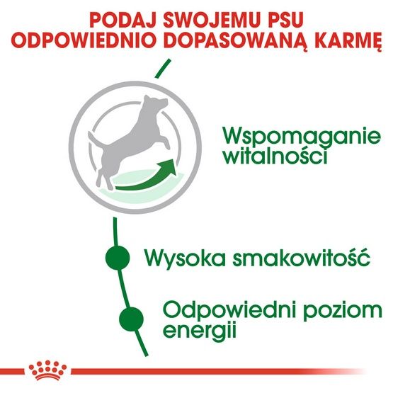 Karma opracowana dla małych psów od 8 do 12 roku życia Royal Canin 2kg