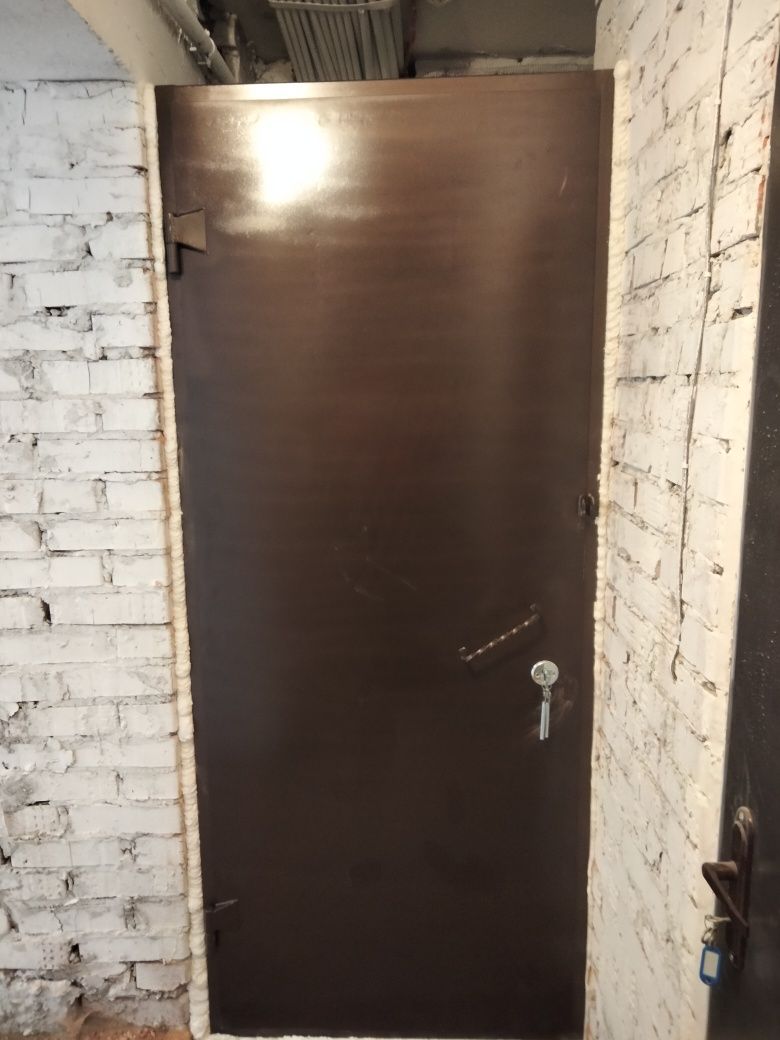 Двері металеві в підвал