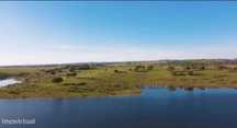 Terreno de 158.000 m2 nas margens do Alqueva