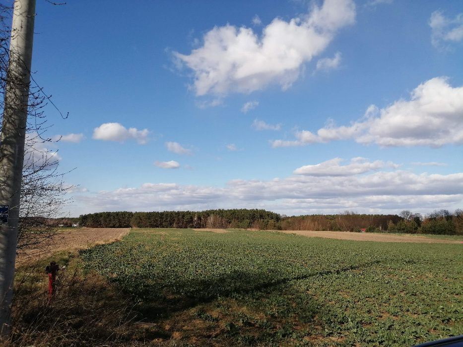 Sprzedam działkę rolno - budowlaną w miejscowości Bolesławów