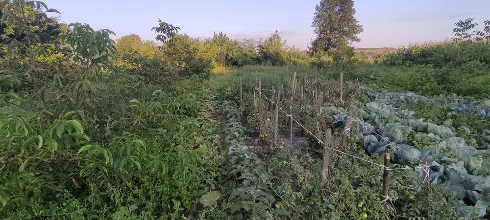 Дім/будинок/хата в с. Літки (біля м. Деражня)