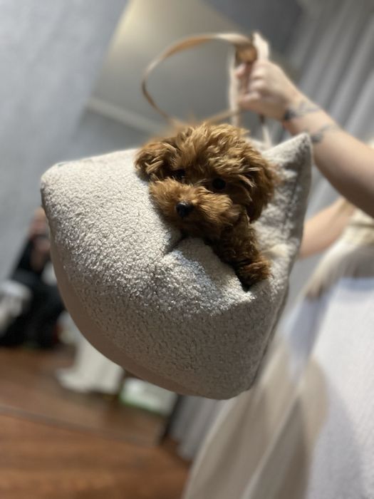 Лежанка лежак мʼякий  для собак кота Зоотовари мʼяке місце