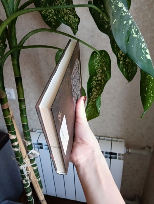 Тесс Геррітсен "Гра з вогнем"