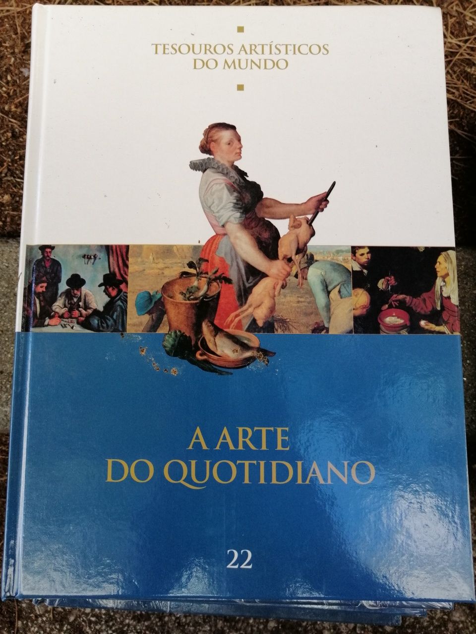 Livros Tesouros Artísticos do Mundo