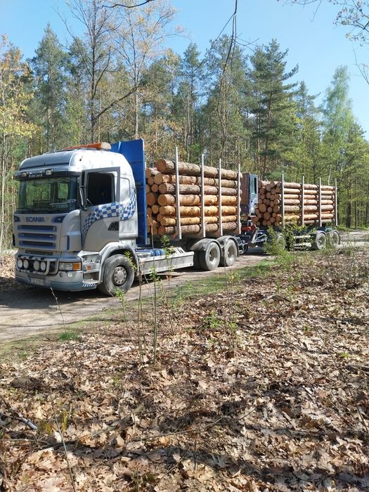 Scania R 580. 2005 r. Do drewna
