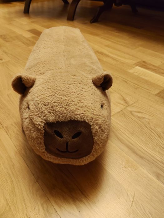 Pluszak kapibara .
