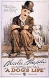 A Dog´s Life - painel de 6 azulejos ceramicos