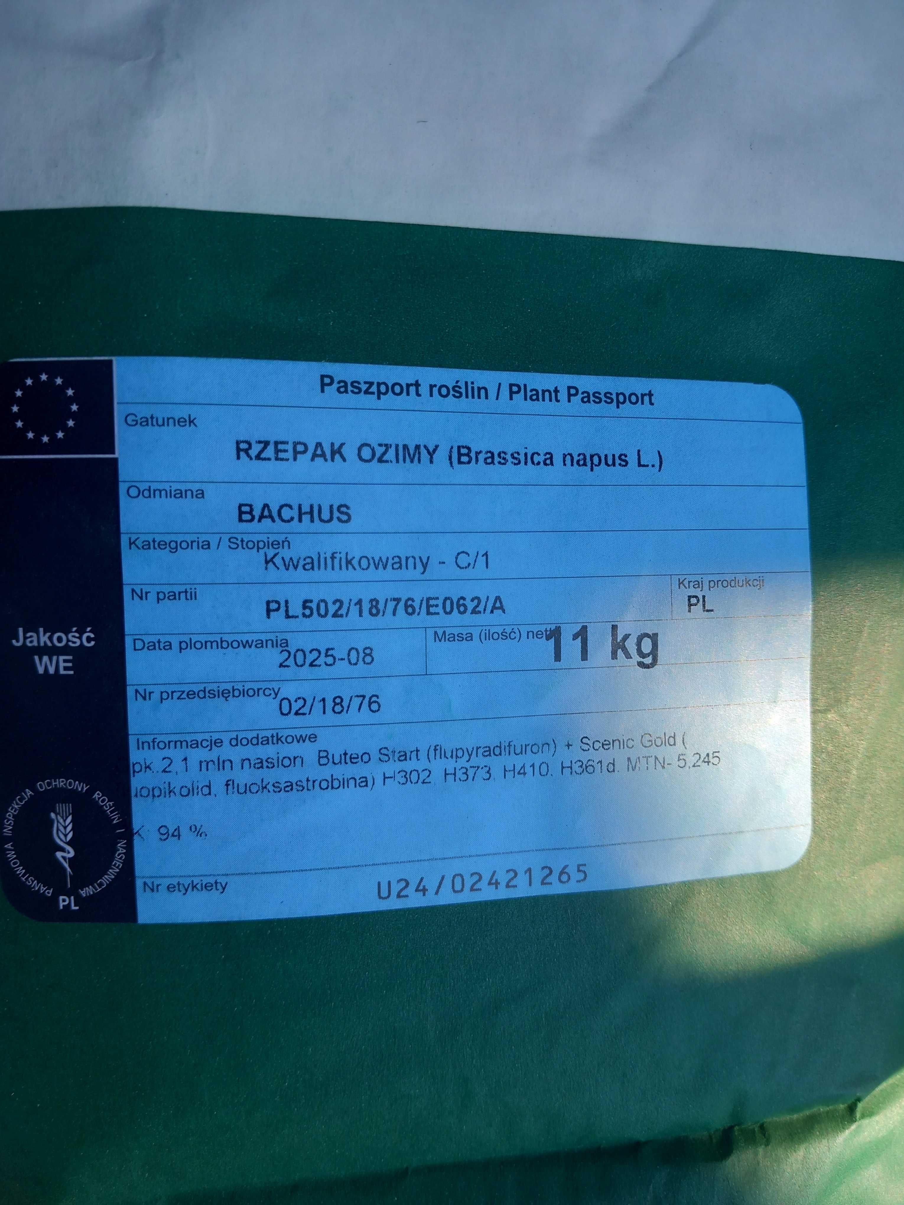 Rzepak Bachus zaprawa: Buteo Start + Scenic Gold 1030zł