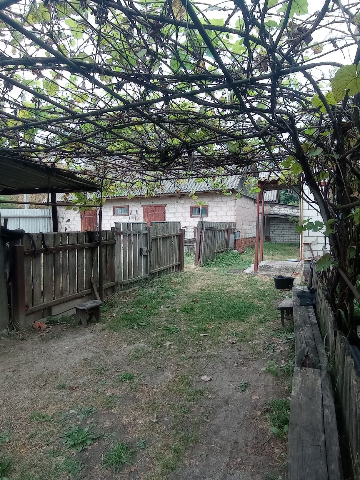 Продам будинок під лісом біля Чернігова.