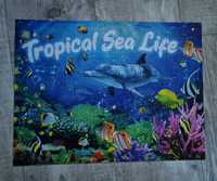 Puzzle 300 -  Tropical Sea Life