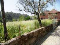 Terreno Urbano, Tondela