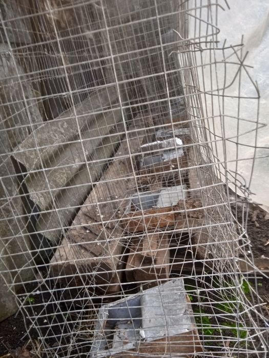 Продам клітку велика для кроликів на 10секцій