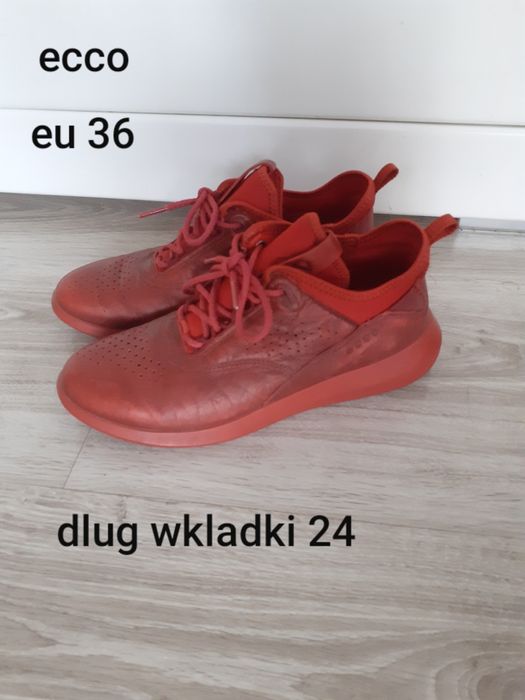 Buty Ecco rozmiar 36