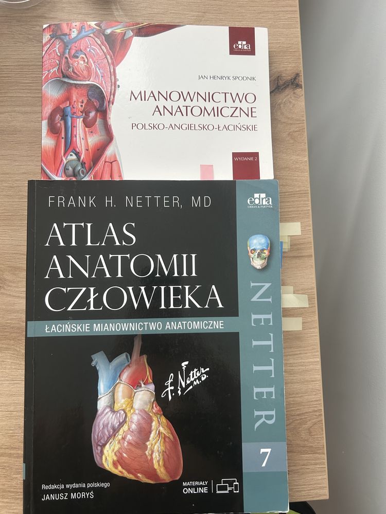 Atlas anatomii człowieka Netter