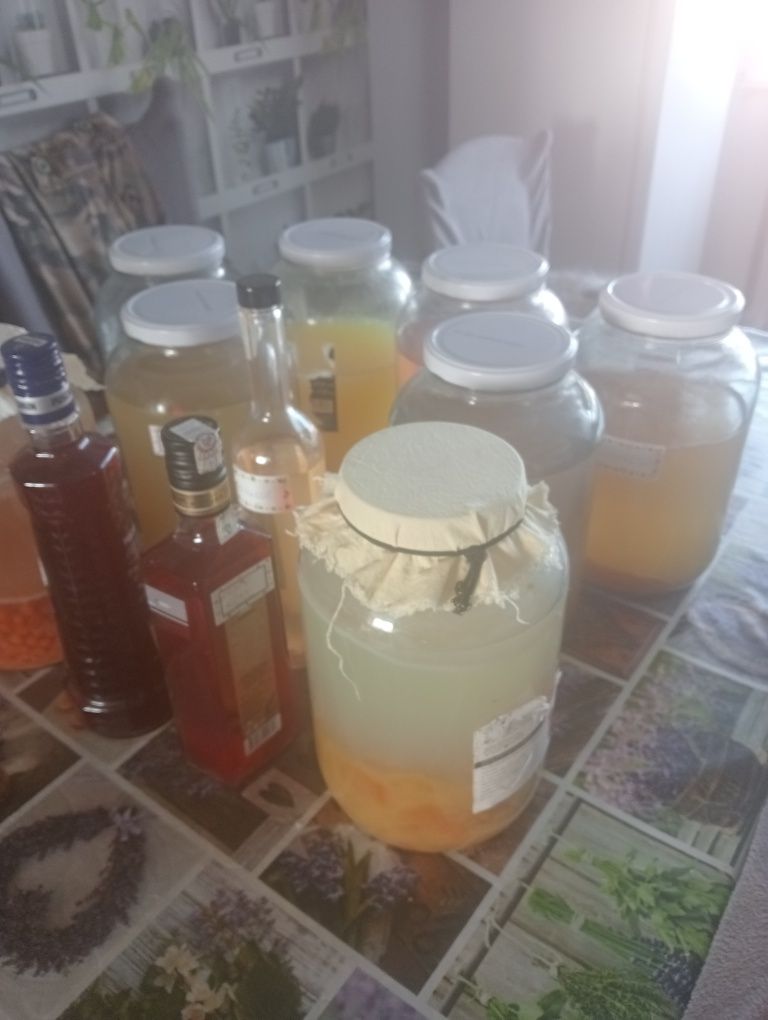 Żywe octy różne rodzaje