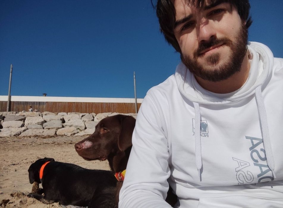 Dog walking/sitting
