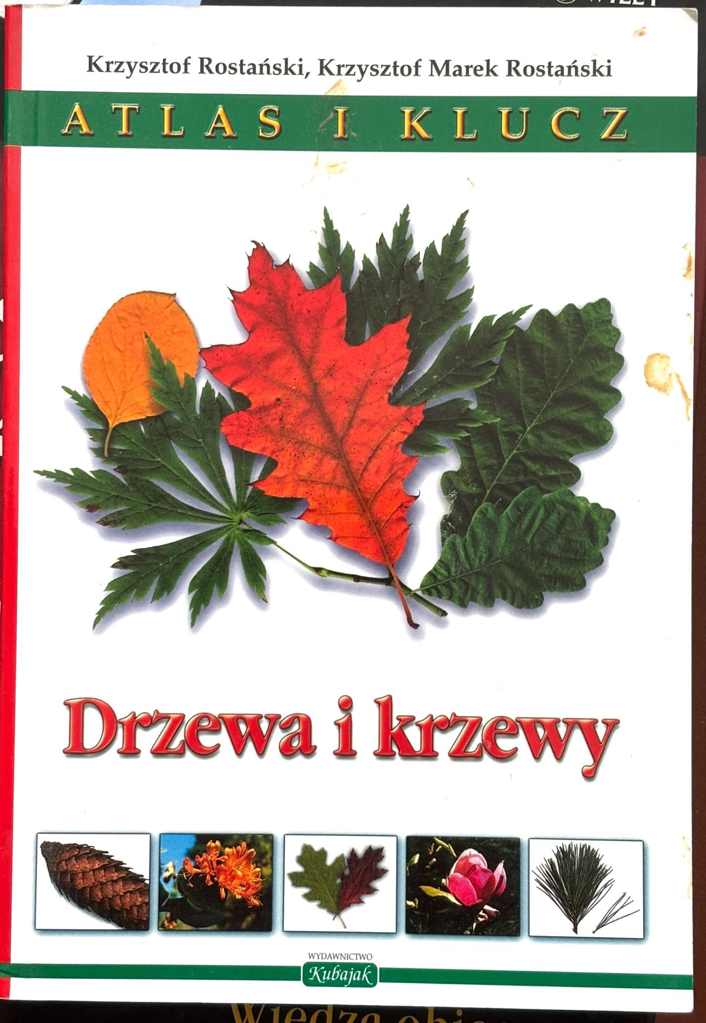 DRZEWA I KRZEWY Atlas i klucz Krzysztof Rostański