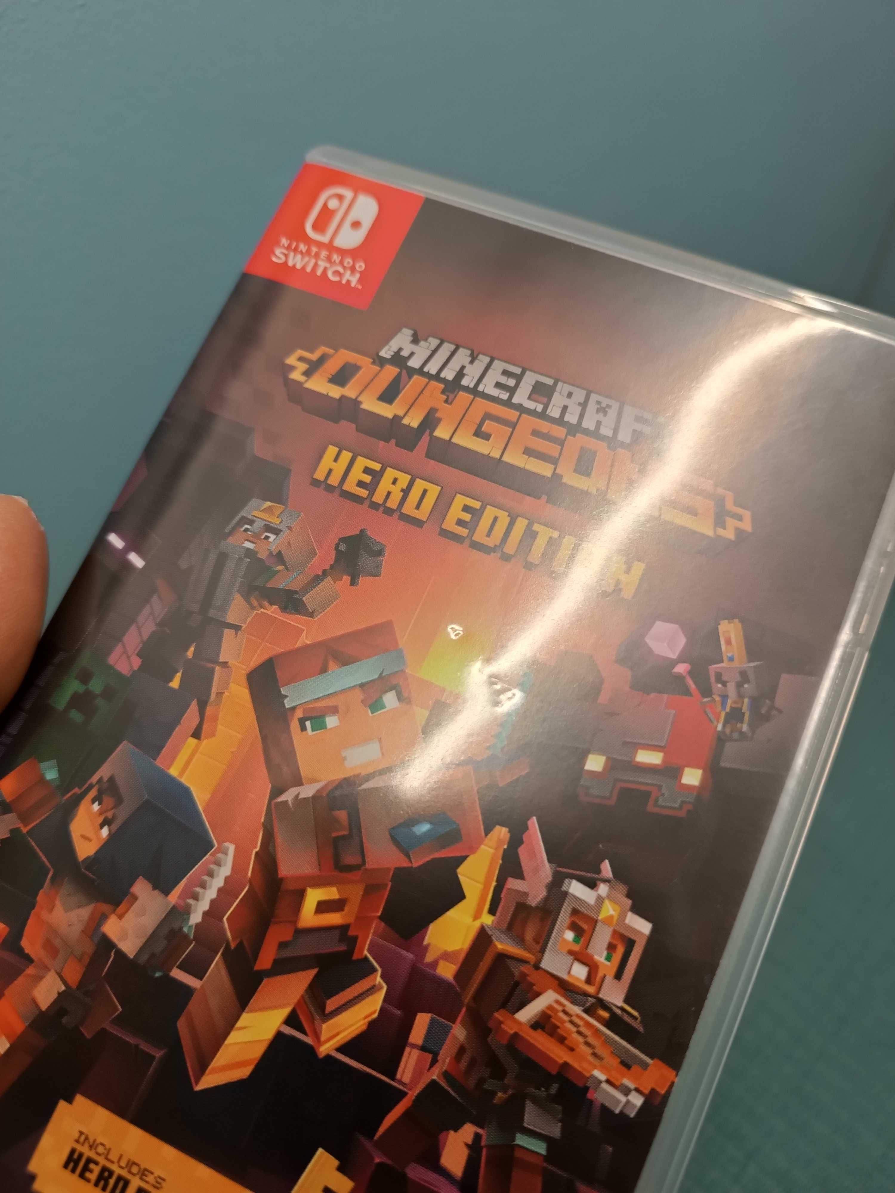 Minecraft Dungeons - Hero Edition Switch