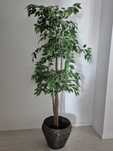 Planta artificial IKEA Fejka 171cm x 21cm