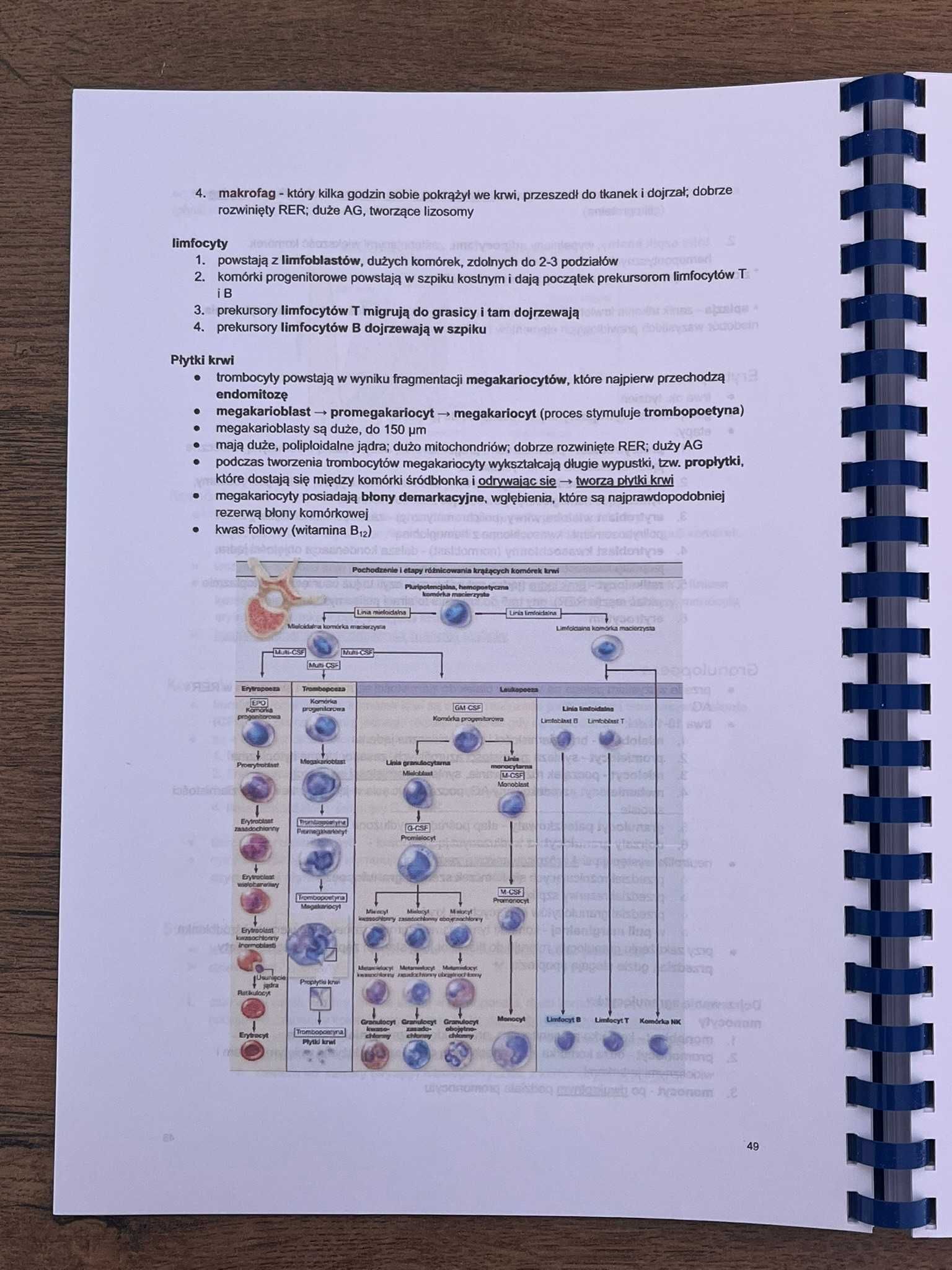 Histologia 101 skrypt z histologii