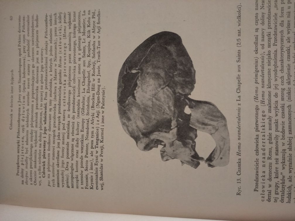 Książka anatomia człowieka