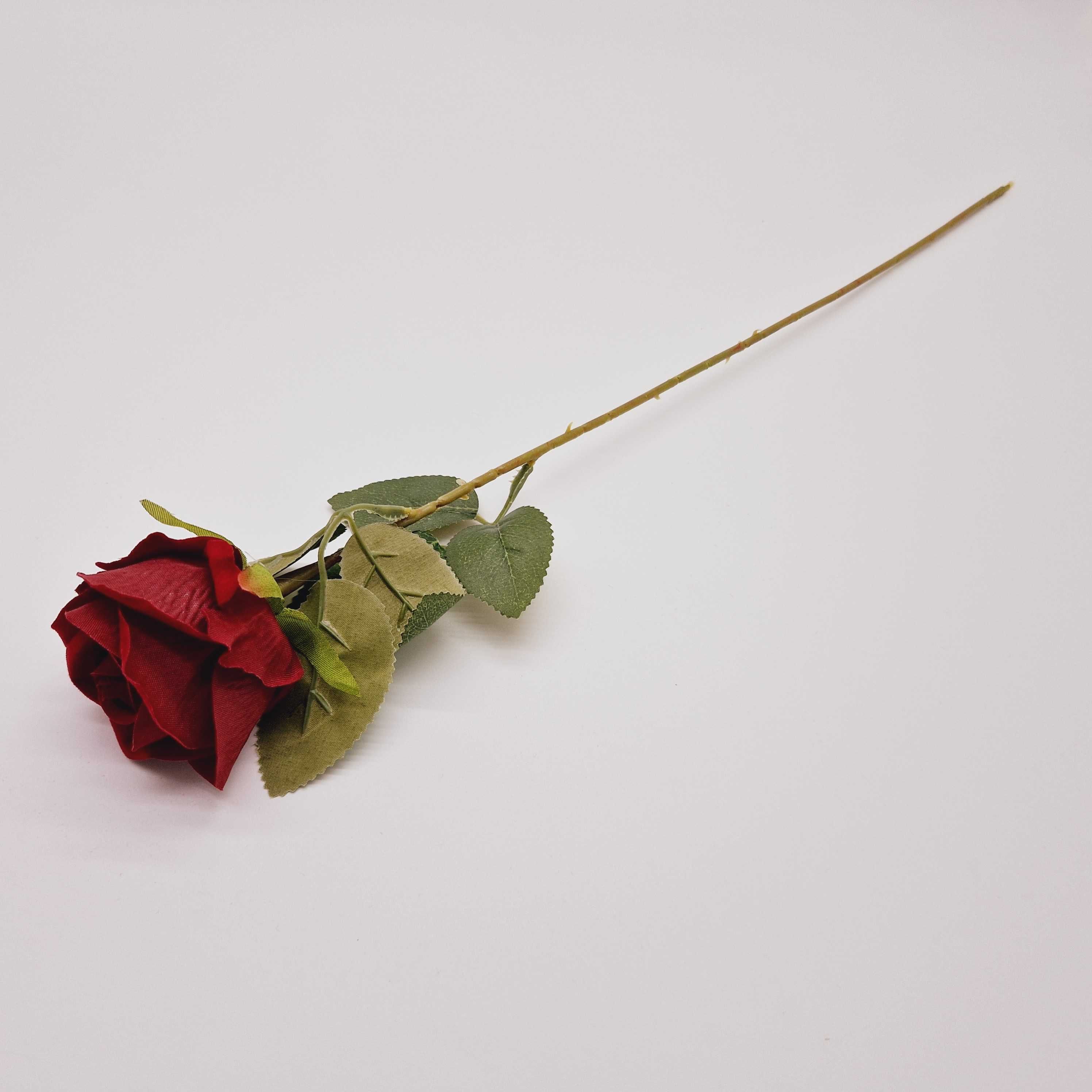 Róża 50 cm Ciemnoczerwona - Bordowa