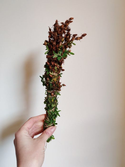 Naturalne kadzidło dziurawiec | Ziołowe kadzidełko z dziurawca