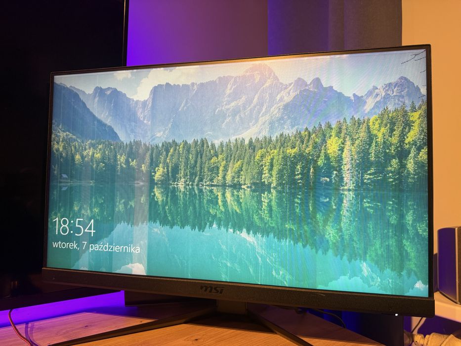 Monitor gamingowy MSI