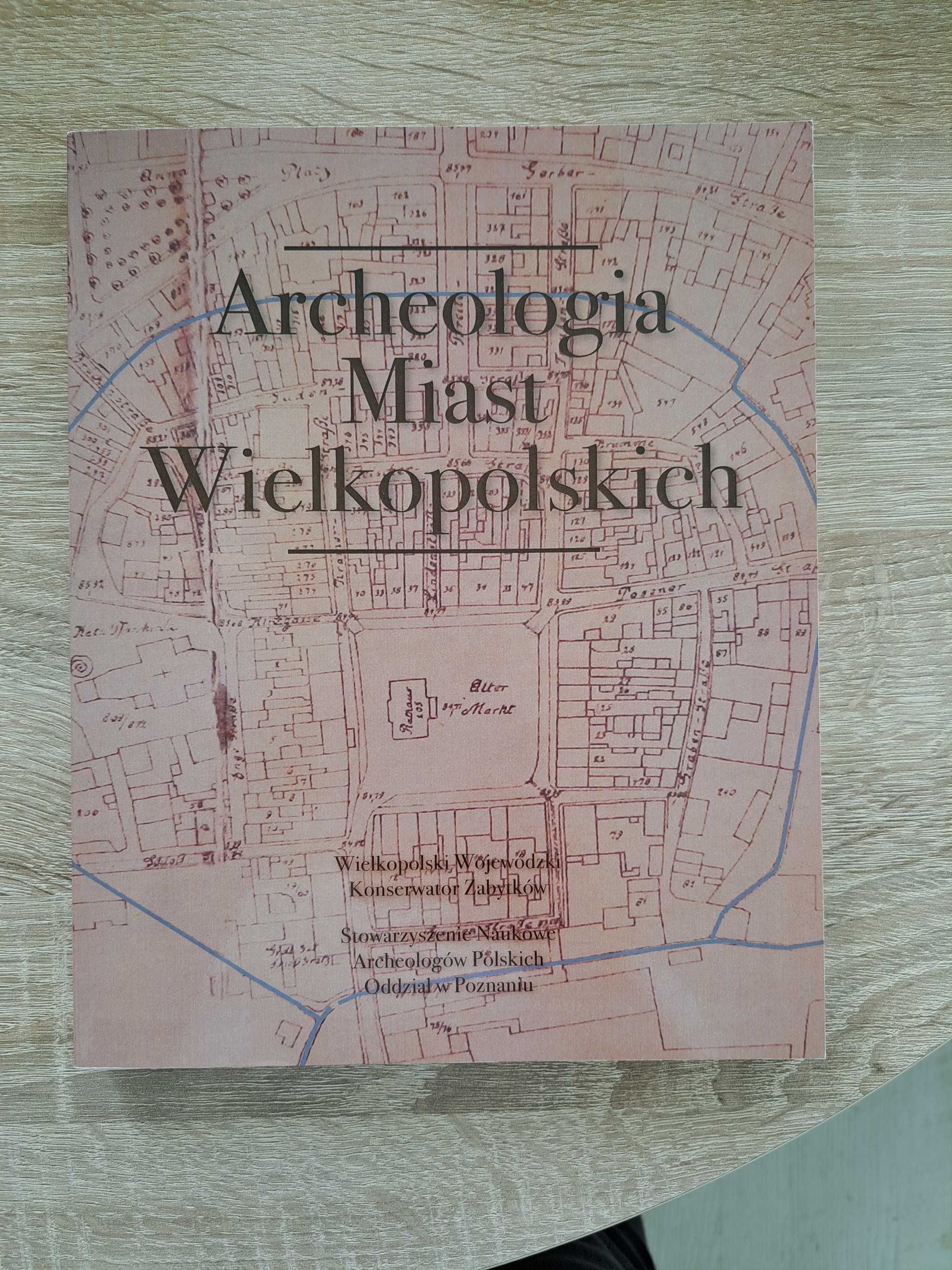Archeologia Miast Wielkopolskich