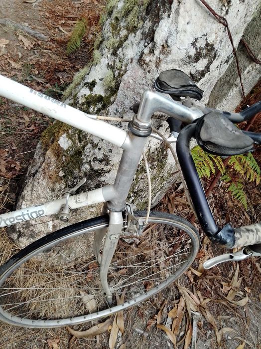 Bicicleta especial de corrida