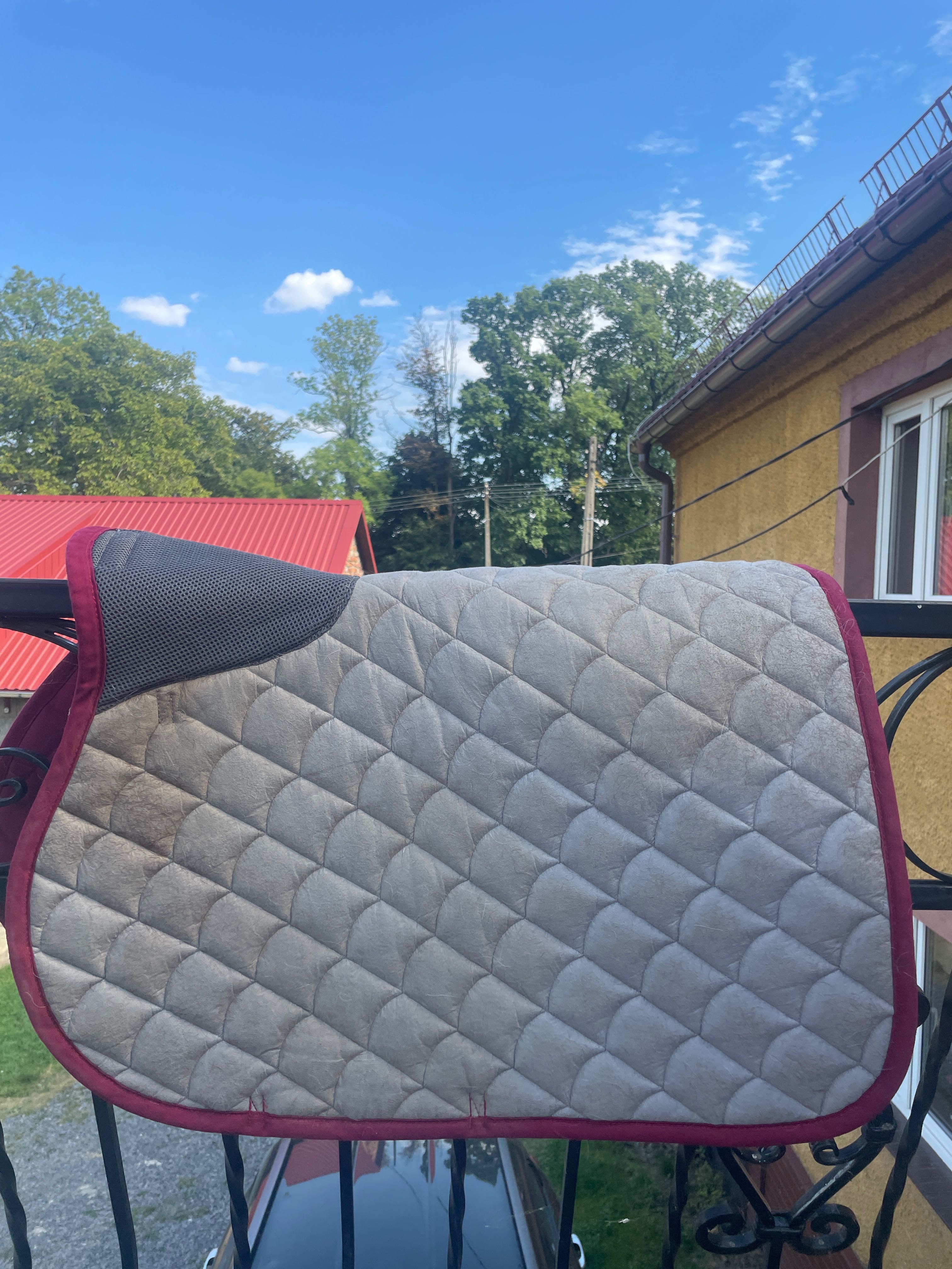 Czaprak torpol i eskadron