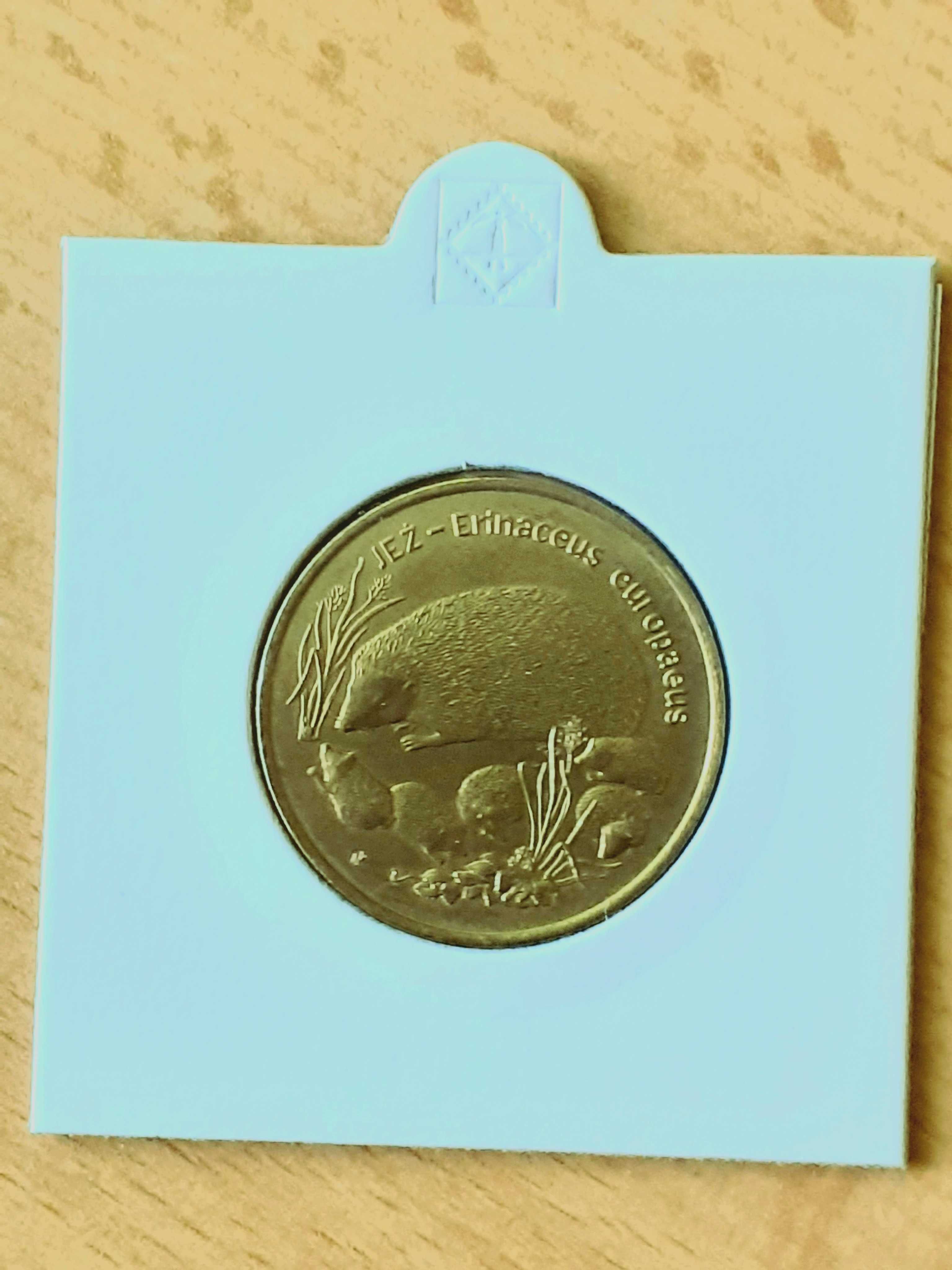 2 zł Jeż 1996  w holderze