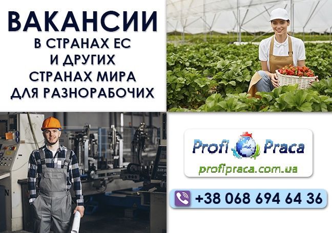 Рабочая виза и легализация в Германии