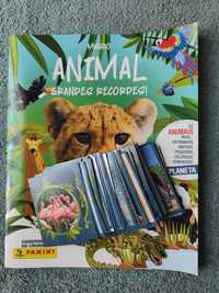 Cromos da caderneta mundo animal, grandes recordes