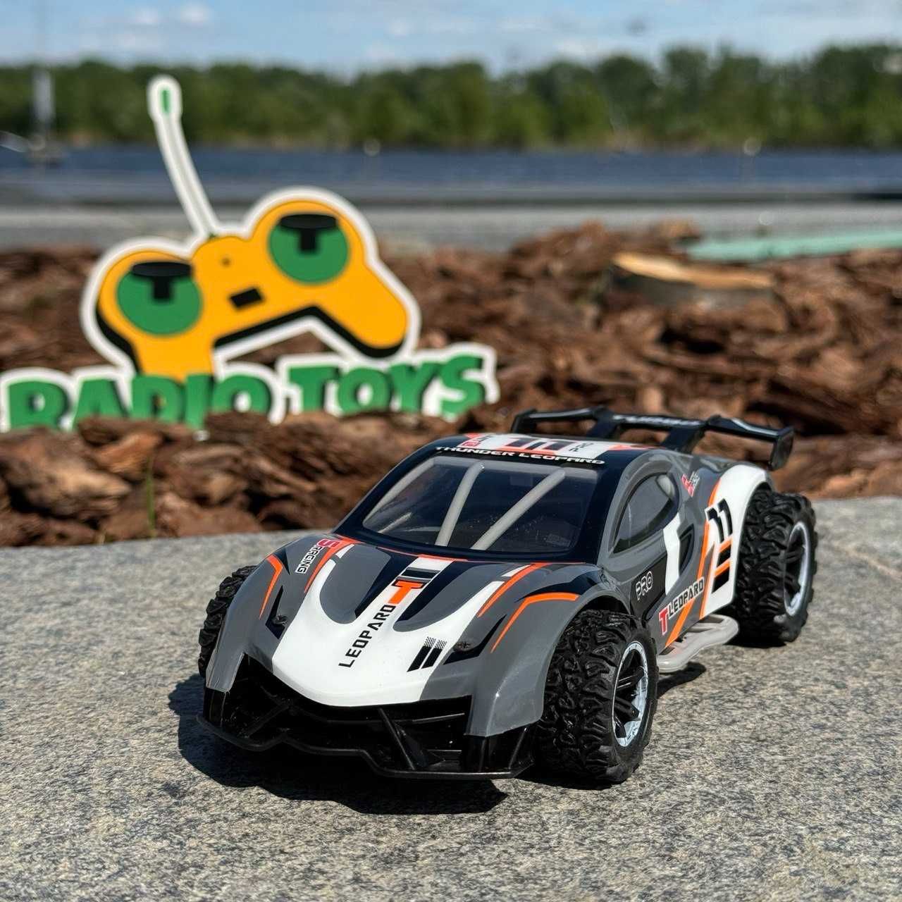 Машинка на радиоуправлении DRAG-X. Багги на пульте управления