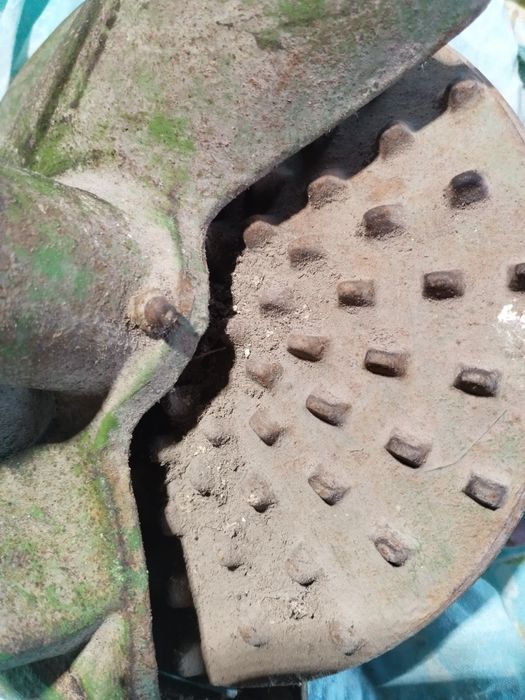 Кукурудзолущілка