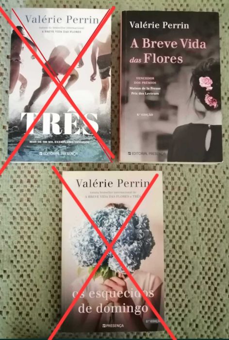 A Breve Vida das Flores