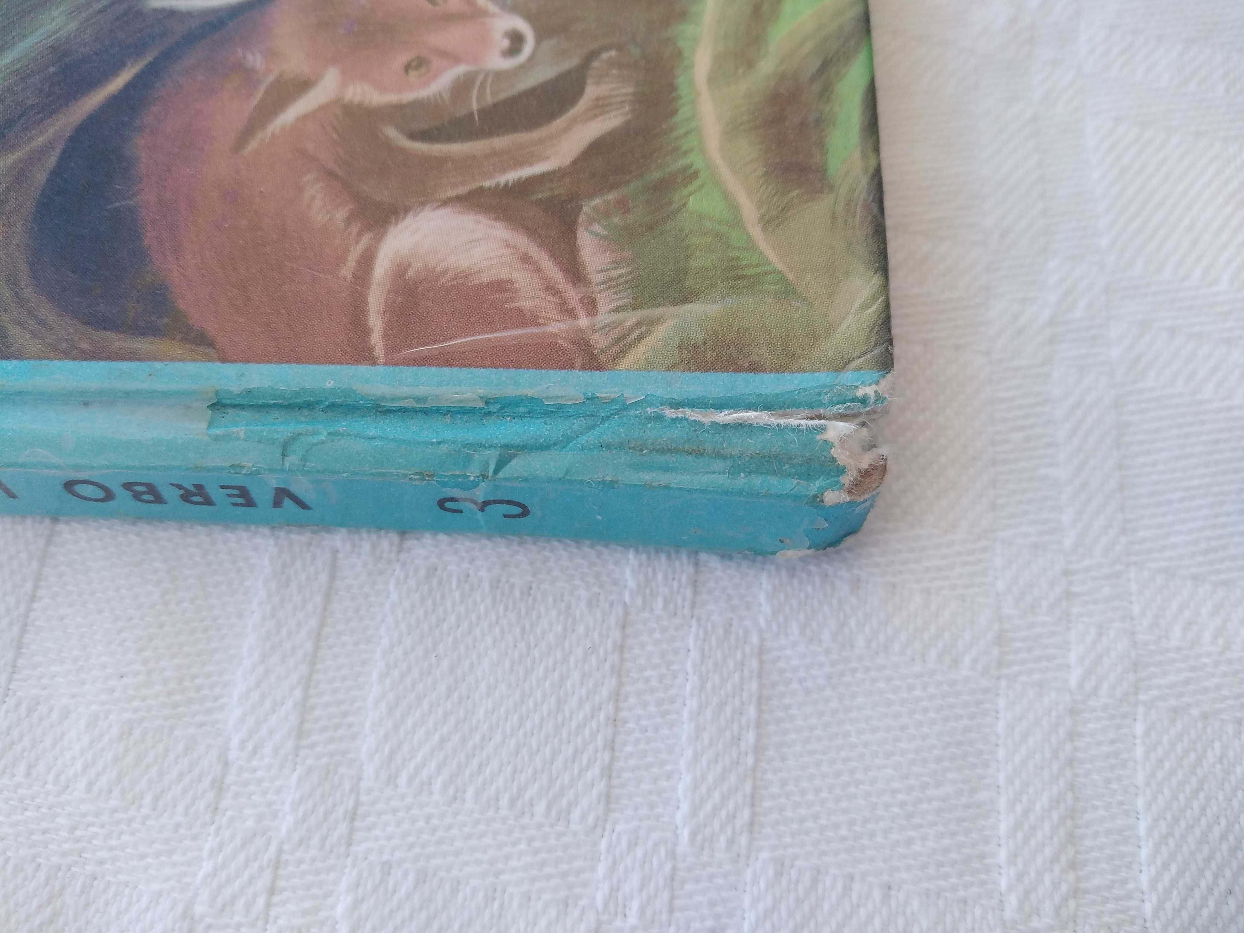 Livro Anita no Zoológico