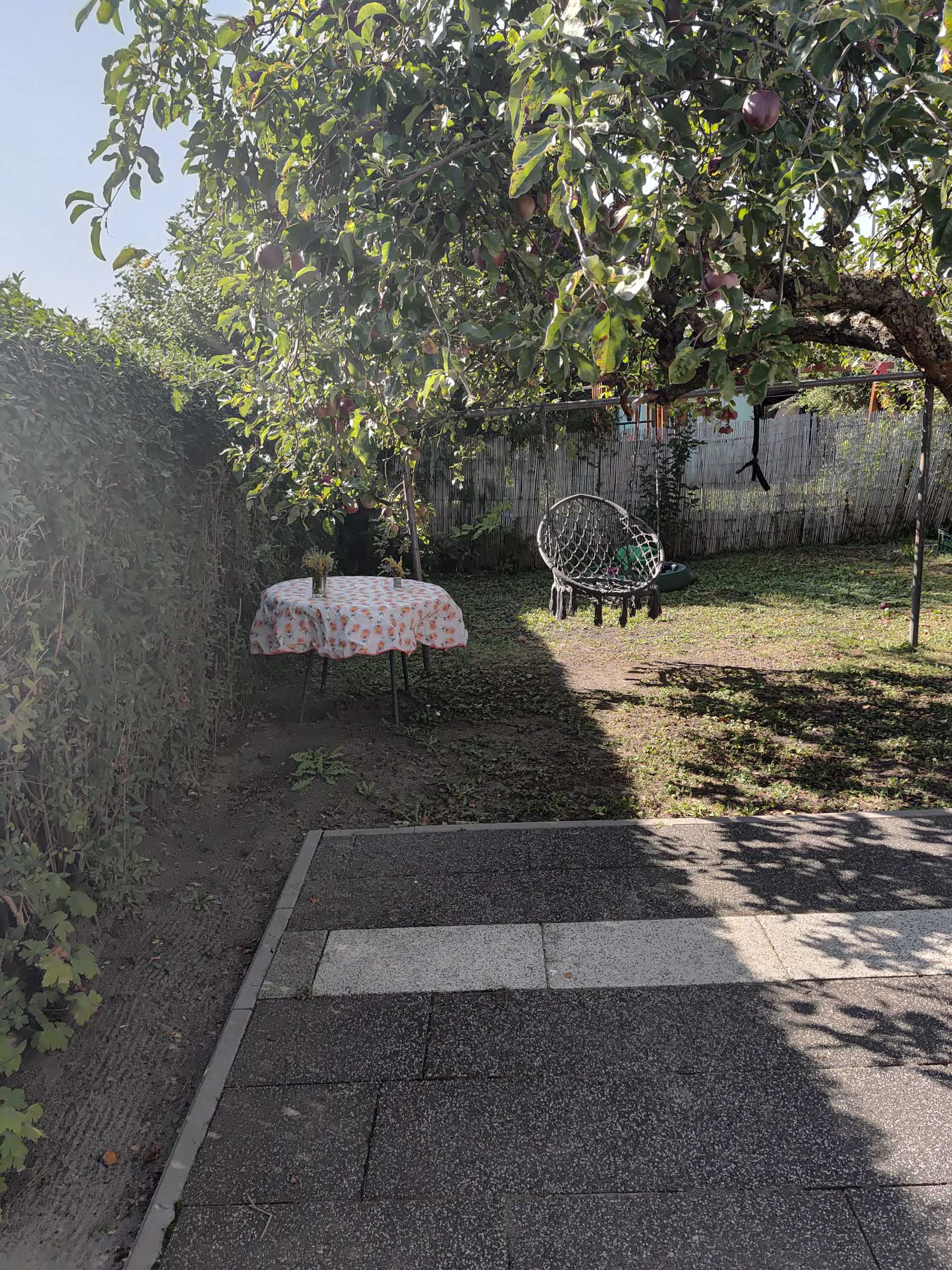 Zadbana działka ROD z domkiem w Żninie nad jeziorem
