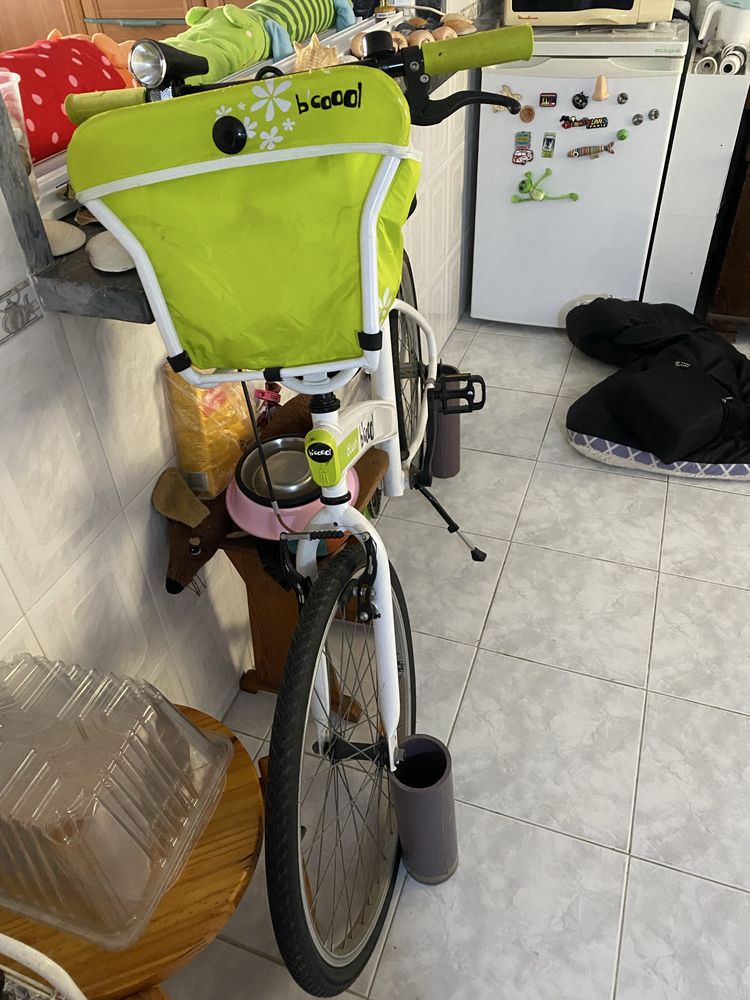 Bicicleta pasteleira