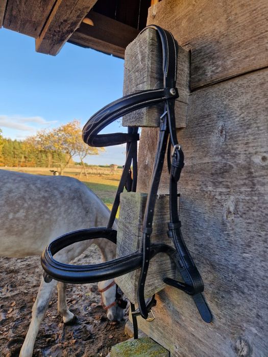 Ogłowia pony, cob i full