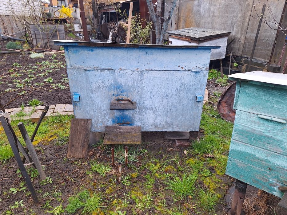 Продам пасіку!!!