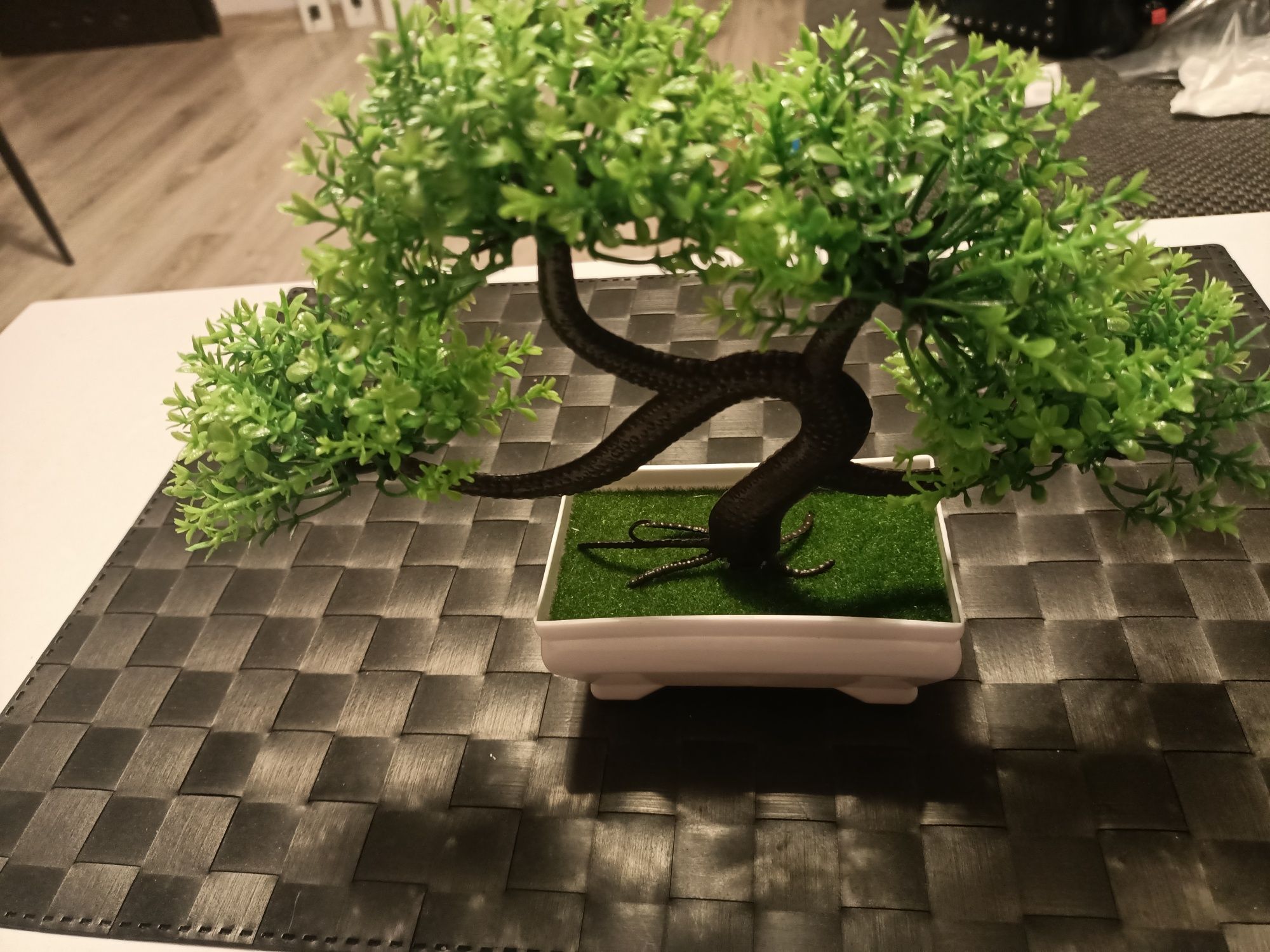 Drzewko szczęścia Bonsai duże