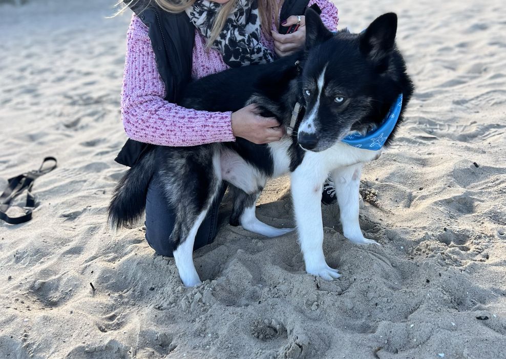 Mały książę Maksymilian o błękitnych oczach szuka swojego królestwa