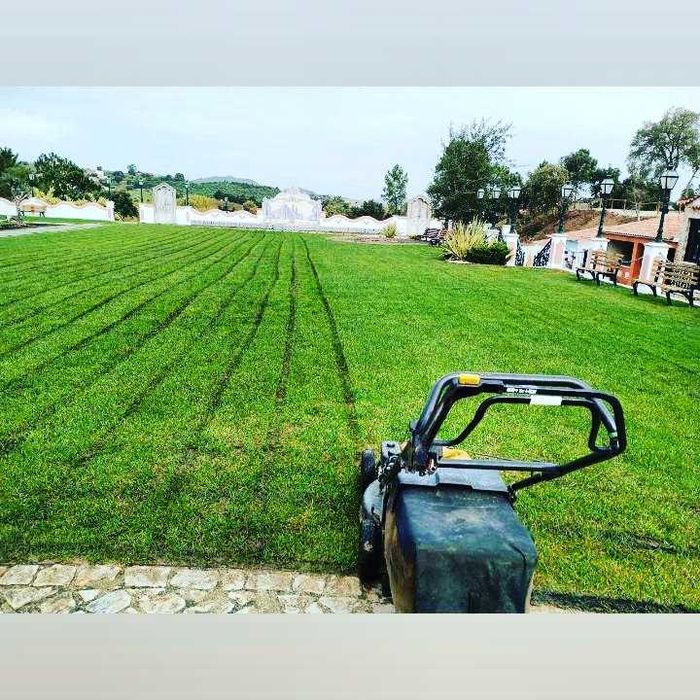 Jardineiro particular limpezas manutenção jardins terrenos . Pintura